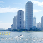 도쿄의 중심지 추오구