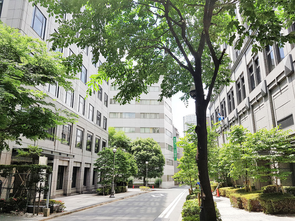 지정교특대생 제도 동경제과학교 양과자본과  합격 후기