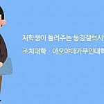 죠치대학 아오야마가쿠인 동시합격자 인터뷰